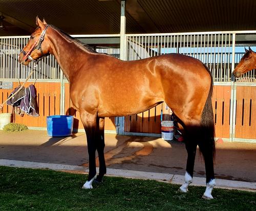 Sweet Tapit