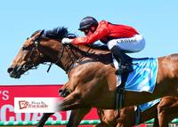 Outraged again shows liking for Gold Coast