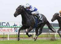 The Odyssey Crowned 2yo Horse Of The Year
