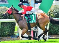 Record-breaking win for Desert Man