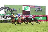 2 Out Of His Last 3 For Magstock