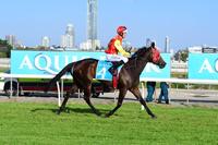 Dwarf Wins At Gold Coast