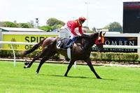 Miss Penfold Takes Home First Place At Doomben