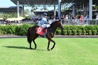 Highland Skipper’s Win at The Gold Coast And Again At The Sunshine Coast
