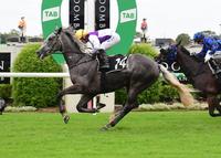 Slow Hands Well Deserved Win At Doomben