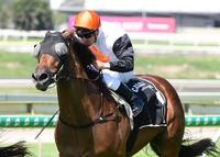 Schweid As Wins At Doomben