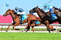 Guard Of Honour Wins At The Gold Coast