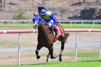 Winning Streak For Seeyaron, Winning At Kilcoy