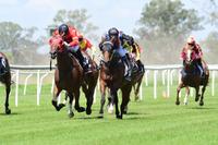 Brooklyn Star Wins A Maiden