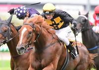 Racecourse Road Wins at Doomben