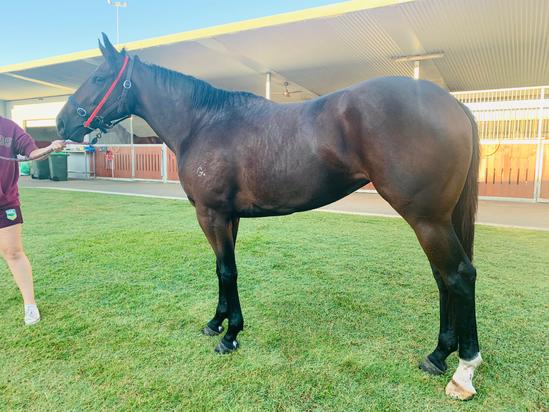 Fastnet Rock X Spirit Of Heaven