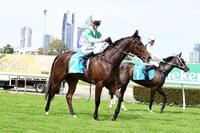 Batangas Entry Wins At The Gold Coast