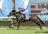 Miss Barty Wins at The Gold Coast