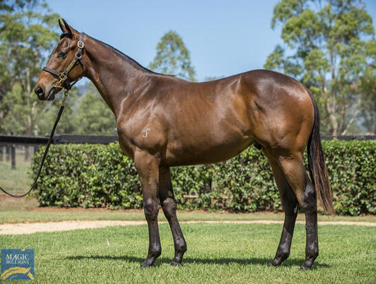 I Am Invincible X Sweet Kiss