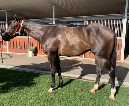 Astern X Zunbaqa