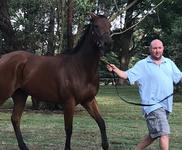 Night in Paradise impresses on debut