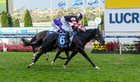 Wide voyage for Bon, Mallyons collide in G1