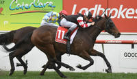 Big weekend for Laing Racing