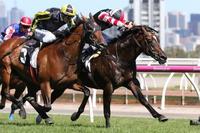 Lordy gives us the best New Year's Day present at Flemington!