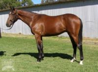 Fiorente x Little Darring