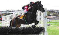 Darabad jumps to new career