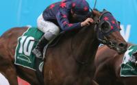 Stars Of Carrum trainer Robbie Laing not lacking in confidence ahead of Australian Derby
