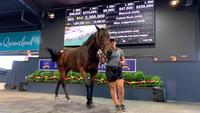 Missrock sells for $2.3m