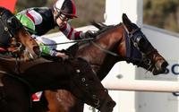 Gennady gets the job done at Sandown