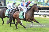 Aree Al impresses on debut
