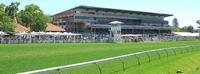 MOSSTIARA READY FOR WA DEBUT