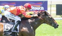 MOSSTIARA LOOKING FOR SECOND-UP WIN