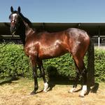 ZAHARA READY TO DEBUT