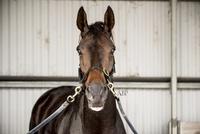 TRADESMAN PRIMED FOR FIRST UP ASSIGNMENT