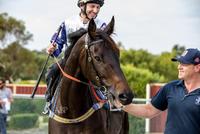 TRADESMAN AND HOPETOUN ON TRACK