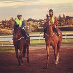 WAYSIDE AND SAVERIO SECOND UP