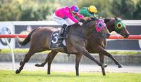 SAVERIO TO BE TESTED OVER A MILE