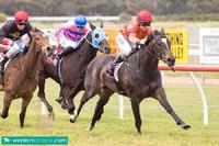 MISTY METAL WINS AT BUNBURY