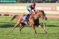 TWO FROM TWO FOR AMELIE ARGOT