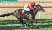 MISTY METAL ECLIPSES $60,000