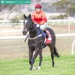 MISTY METAL STILL PERFECT AT NORTHAM