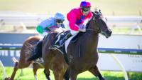 Harvey unfazed by Sabbath’s wide barrier