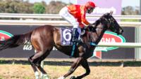 MISTY METAL SURGES TO COMFORTABLE VICTORY IN JUNGLE MIST CLASSIC