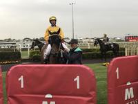 EL SHADAY MAKES IT BACK-TO-BACK WINS