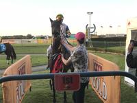 LEFKAS ISLAND BACK IN THE WINNERS STALL AGAIN