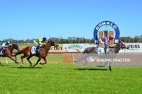 Dusty Mamba's Donald Success