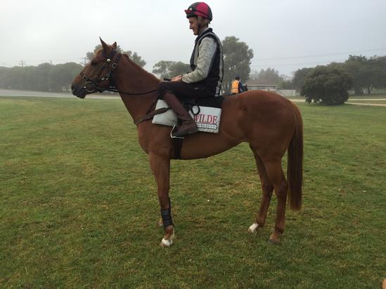 Wannon Warrior