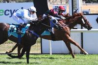 Wannon Warrior and Hello My Dear provide a double at Stawell