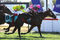 Wilde Racing home bred breaks maiden at Ararat
