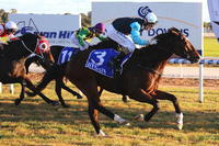 Floral Fever wins at Swan Hill