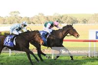 Nothin'like Albert wins at Casterton